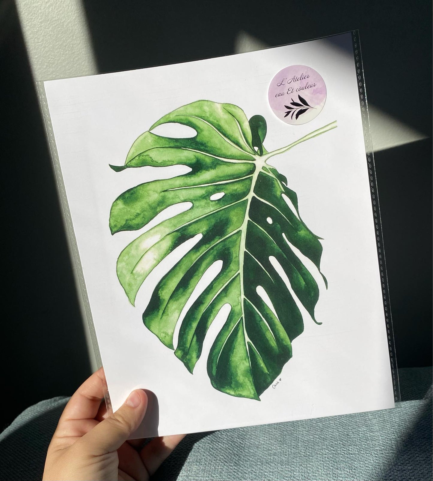 Feuille de Monstera