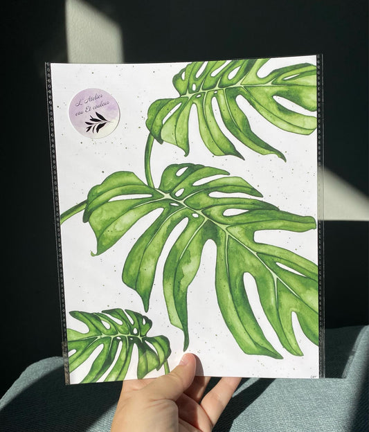 Feuilles de Monstera (La sœur de l’autre)