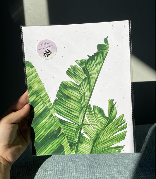 Feuilles de bananier