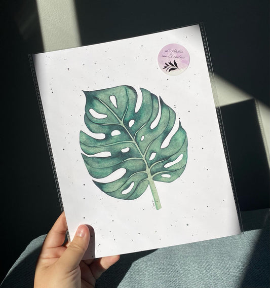 Feuille de Monstera