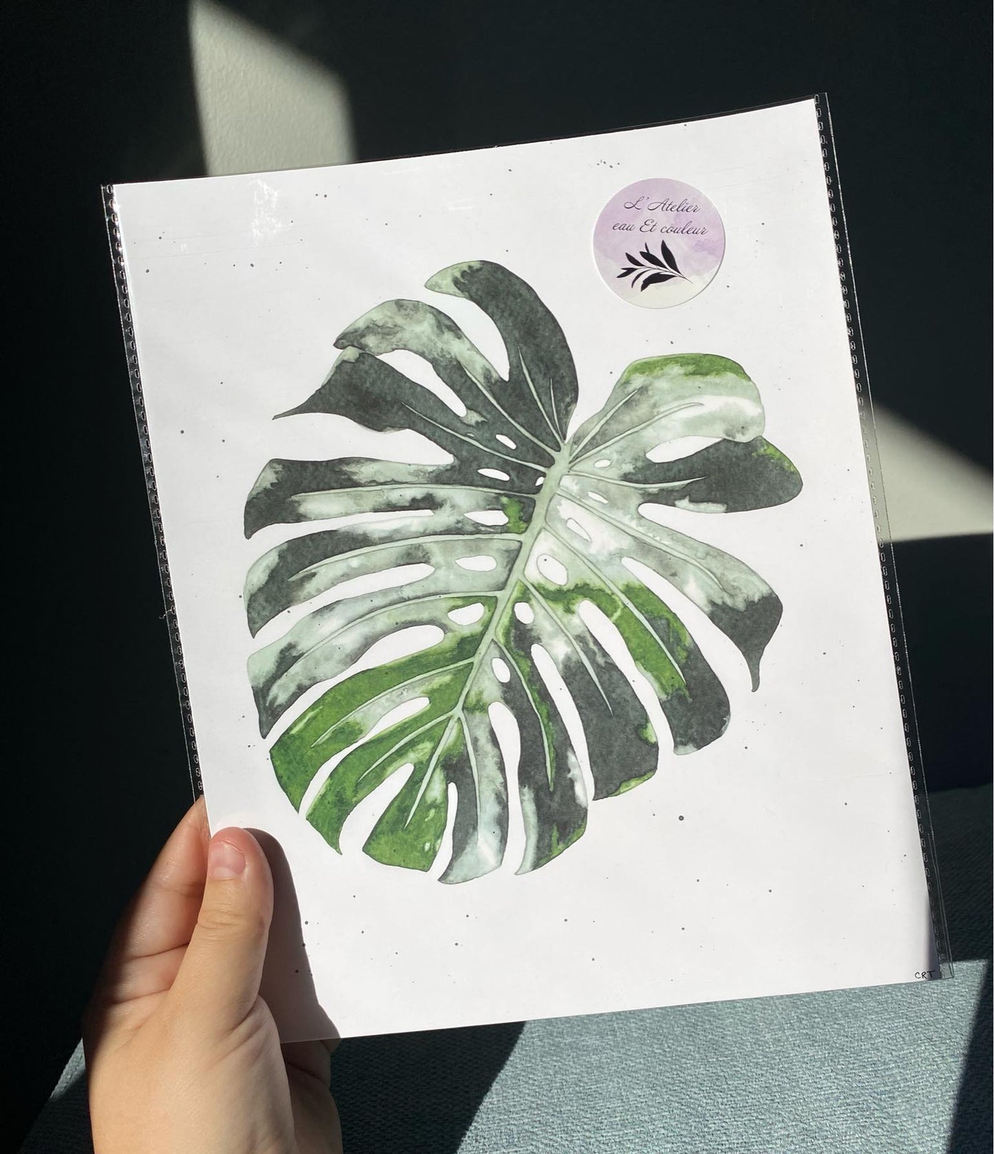 Feuille de Monstera Ocean Mint