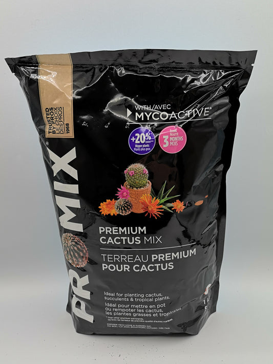 Terreau Premium pour cactus